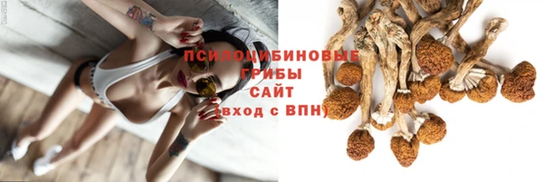 ALPHA PVP Баксан