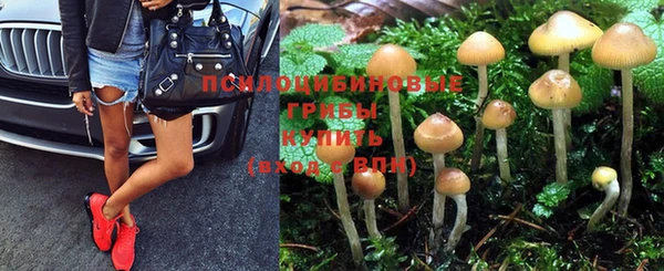 2c-b Балахна