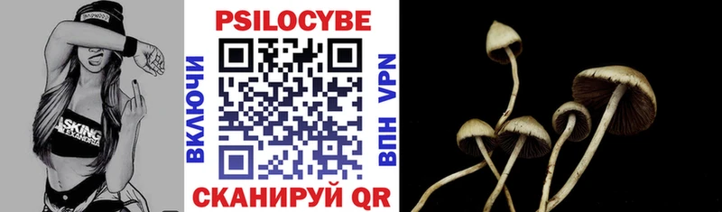 как найти   Красноуральск  Галлюциногенные грибы Psilocybe 